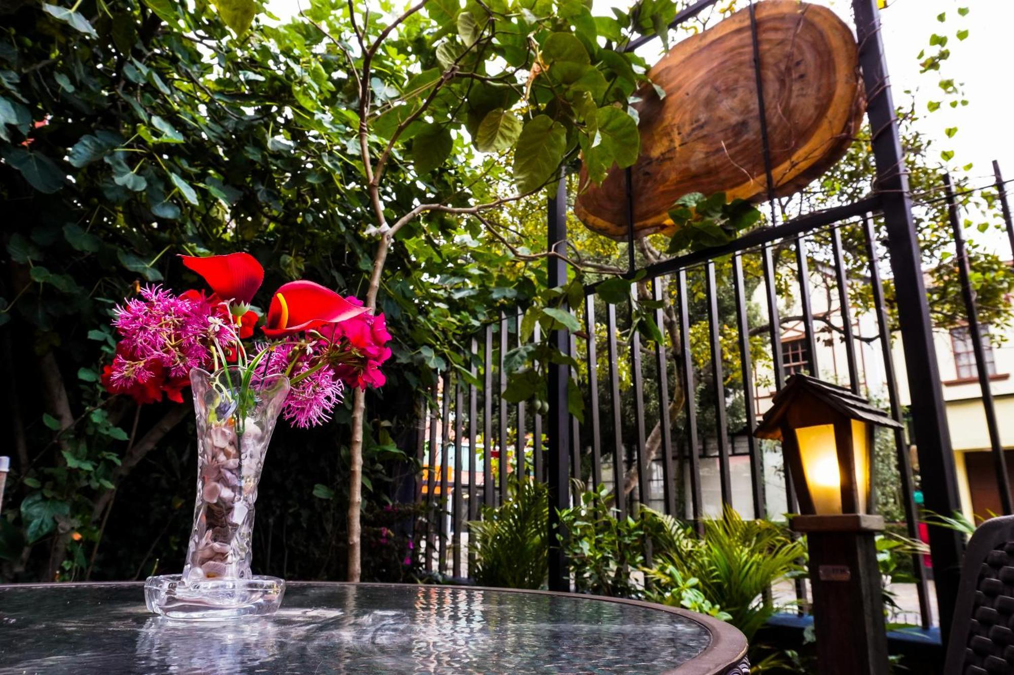 Casa Del Arupo B&B Quito Luaran gambar